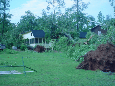 Tree and structure damage in Elk River Estates Community in Western Limestone County